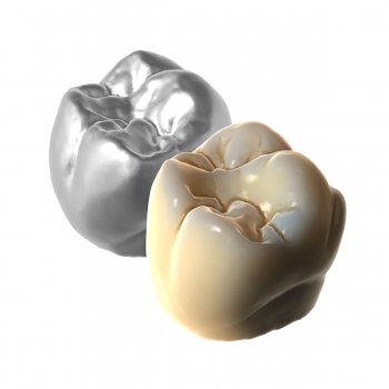 TruSmile Module TruSmile Module