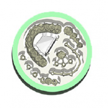 Nesting Module (incl. In-CAD Nesting) Nesting Module (incl. In-CAD Nesting)